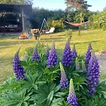 Kaethes Sommerfrische