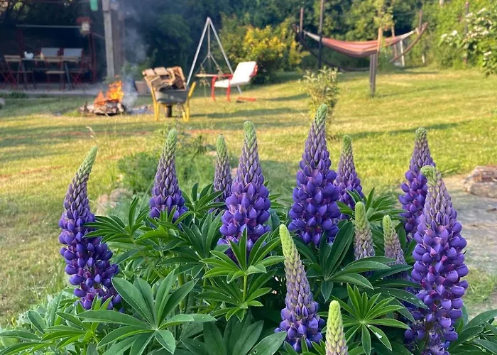 Kaethes Sommerfrische